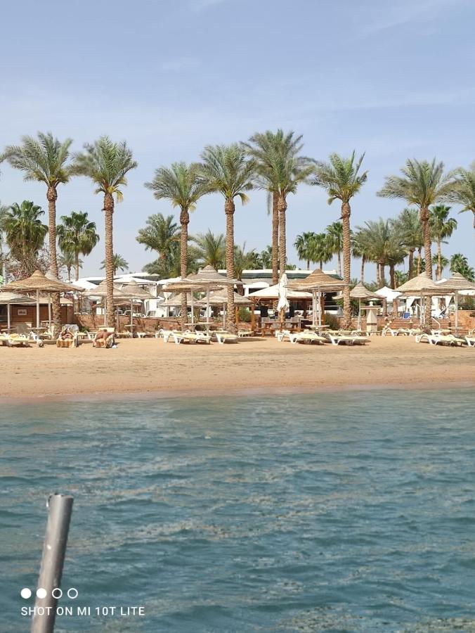 Seti Sharm Palm Beach Resort Families And Couples Only Eksteriør bilde
