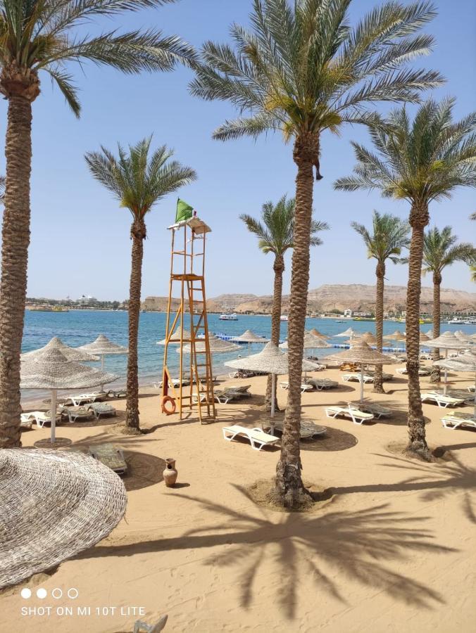 Seti Sharm Palm Beach Resort Families And Couples Only Eksteriør bilde