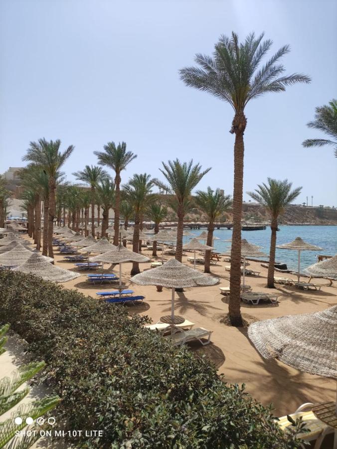 Seti Sharm Palm Beach Resort Families And Couples Only Eksteriør bilde