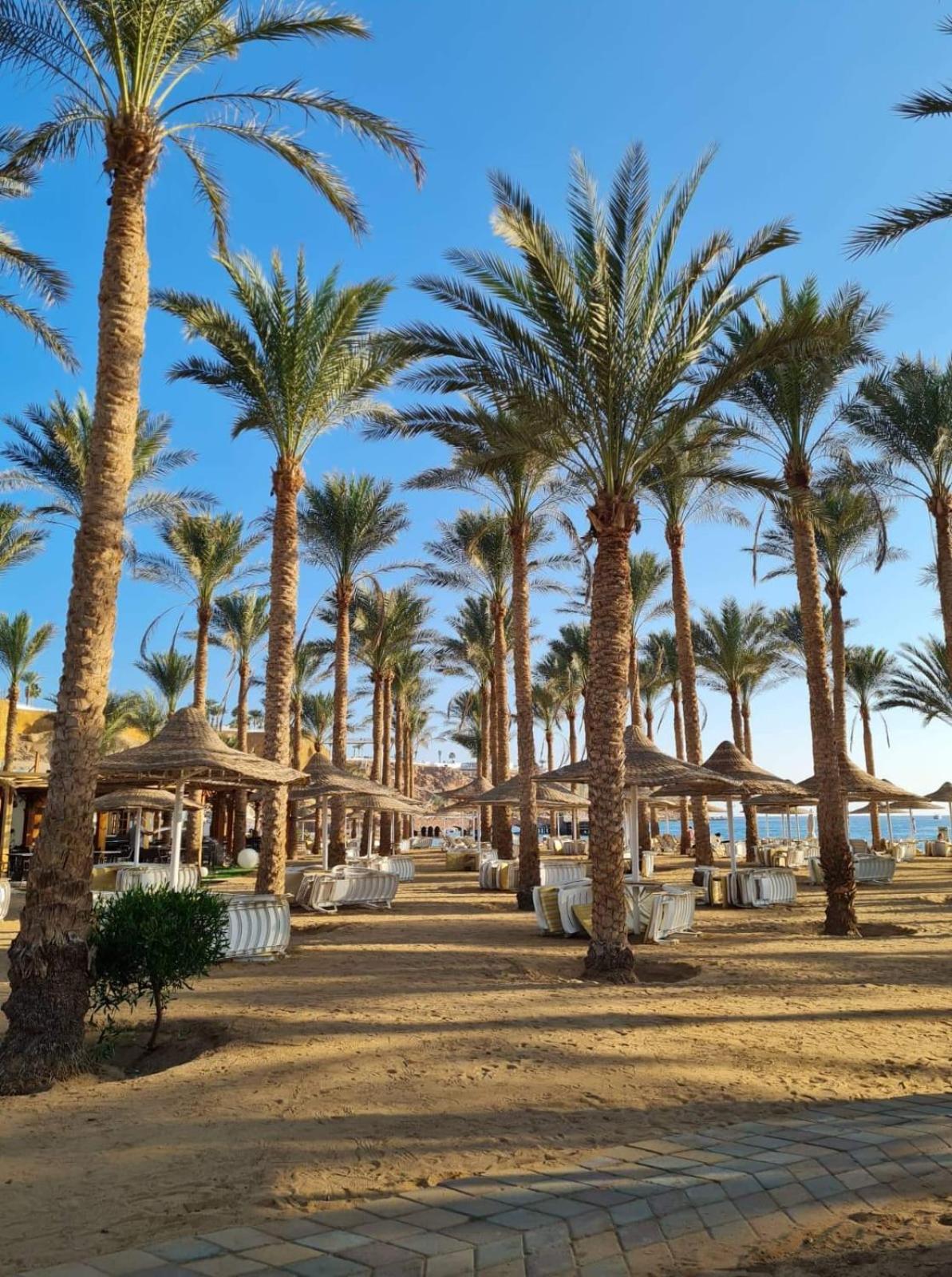 Seti Sharm Palm Beach Resort Families And Couples Only Eksteriør bilde